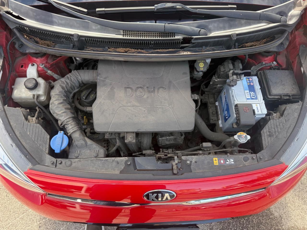 Kia Picanto 1.0 12V 5 porte Cool E6