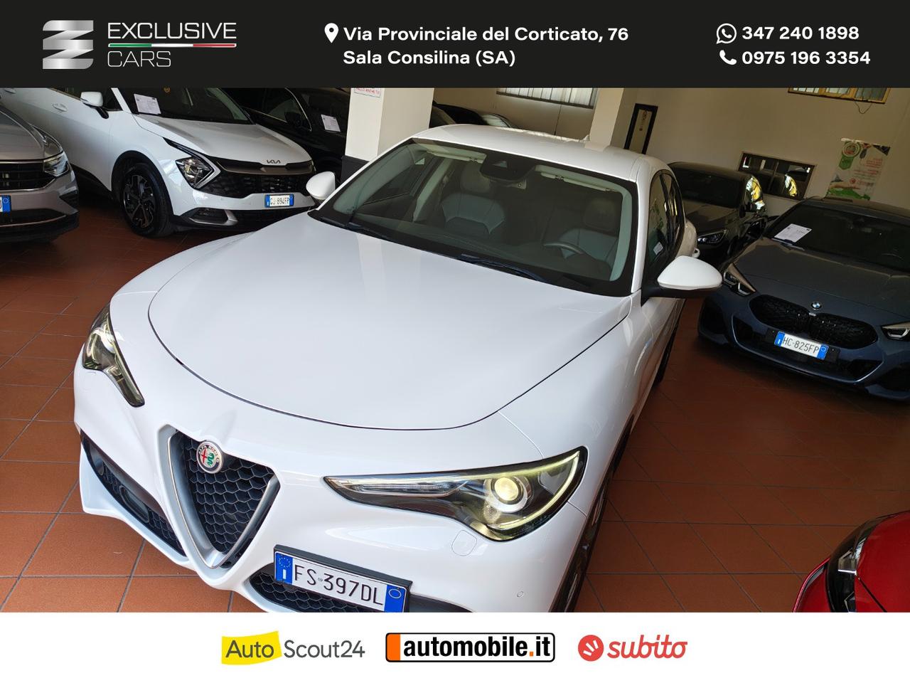 ALFA ROMEO Stelvio 2.2 T.diesel 210 CV AT8 Q4 Exec.