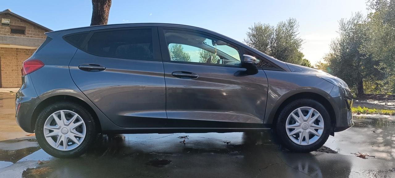 Ford Fiesta Ecoboost 95 CV 5 porte Connect
