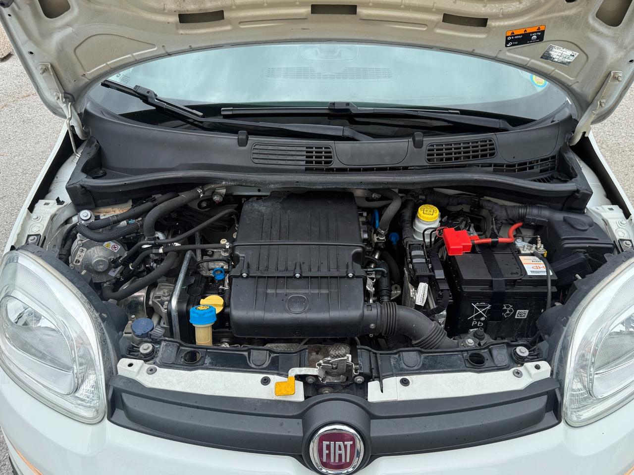 " UNA CHICCA " Fiat Panda 1.2 GPL Lounge
