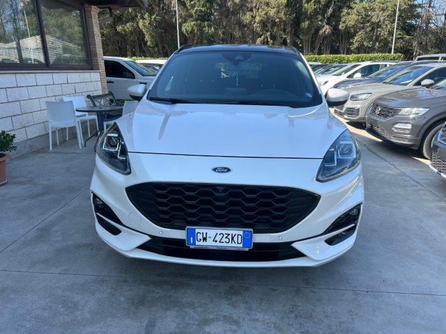 FORD Kuga 2.0 EcoBlue 190 CV aut. AWD ST-Line X