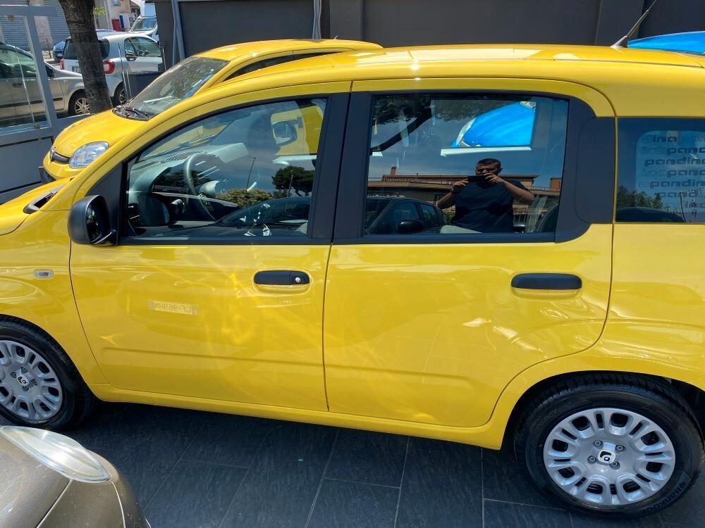 Fiat Panda Pandina 1.0 FireFly 65 CV Hybrid Pop
