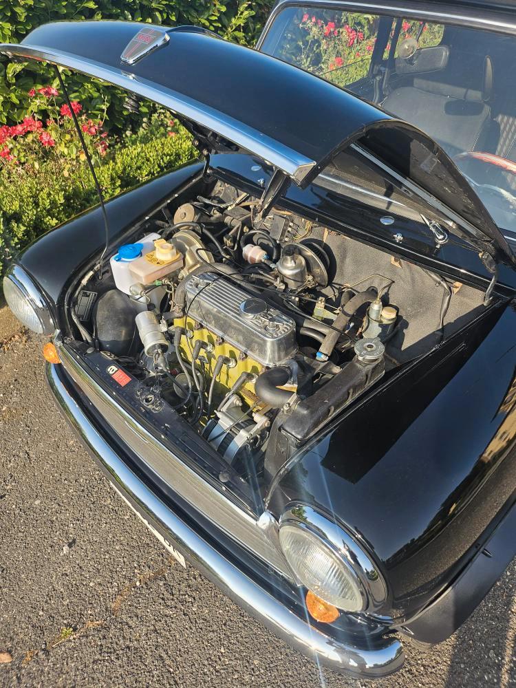 Rover Mini Cabriolet ROVER Mini 1.0 Cabriolet CABRIONI CABRIO DESIGN