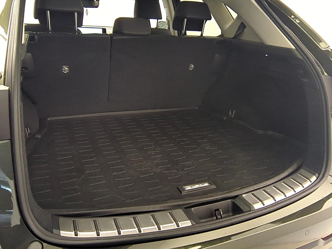 Lexus NX 300h 350h Hybrid Business
