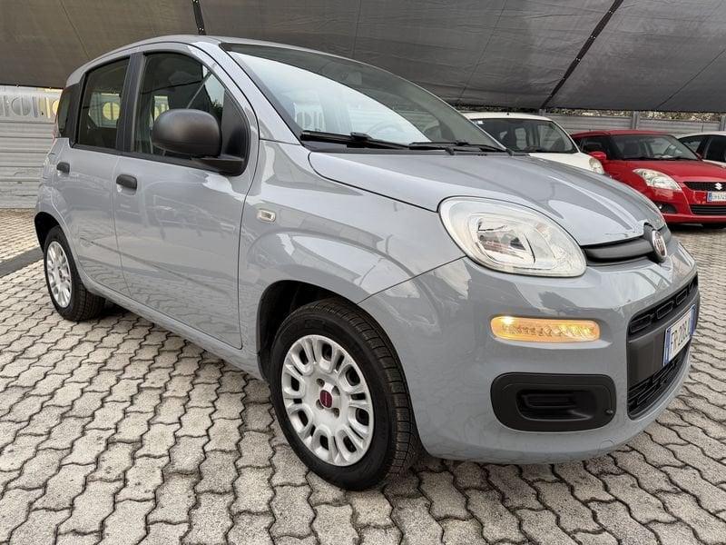 FIAT Panda Panda 1.2 Easy 69cv IDONEA NEOPATENTATI