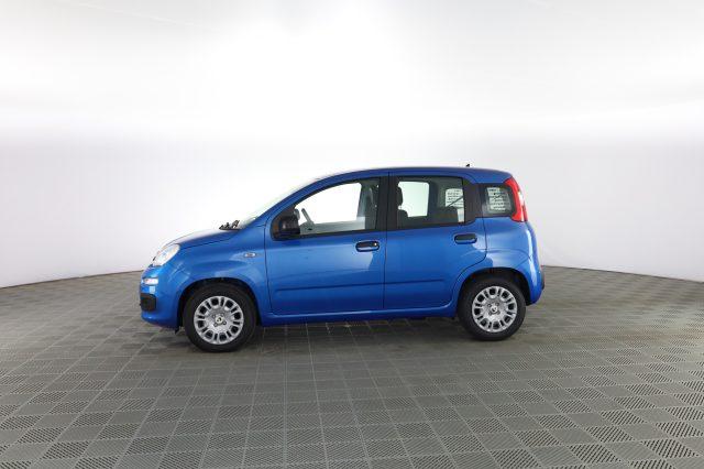 FIAT Panda Panda 1.0 FireFly S&S Hybrid Pop