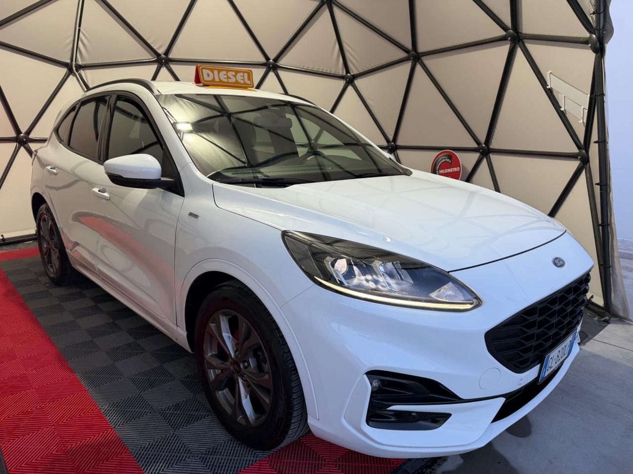 Ford Kuga 1.5 EcoBlue 120 CV 2WD ST-Line