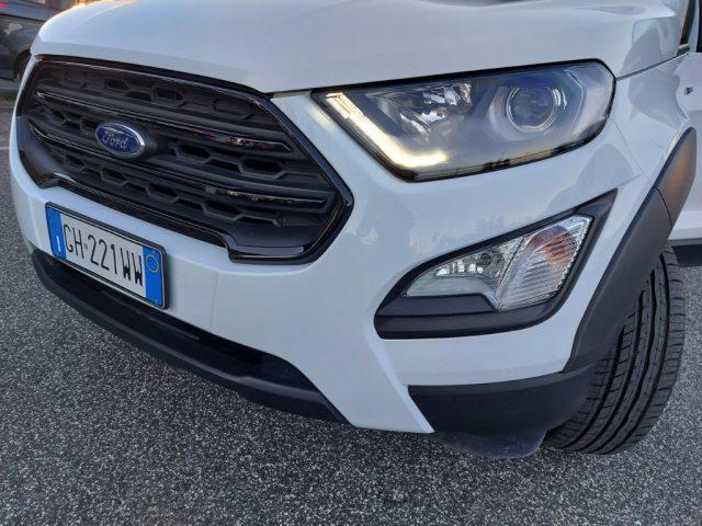 FORD EcoSport 1.0 EcoBoost 125 CV Start&Stop Active pelle