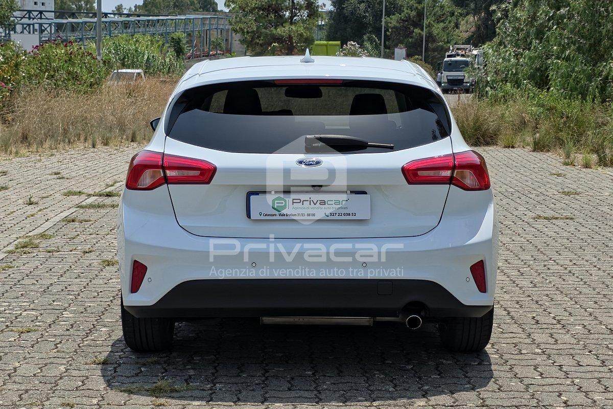 FORD Focus 1.5 EcoBlue 120 CV 5p. Business