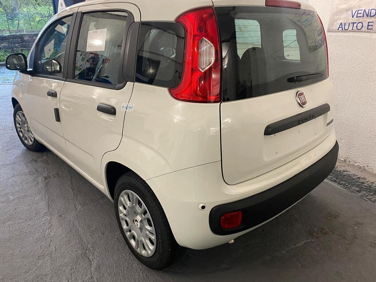 FIAT PANDA MY25 1.0 70cv Hybrid PANDA