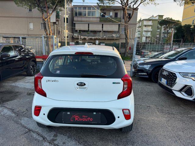 KIA Picanto 1.0 12V EcoGPL 5 porte Cool