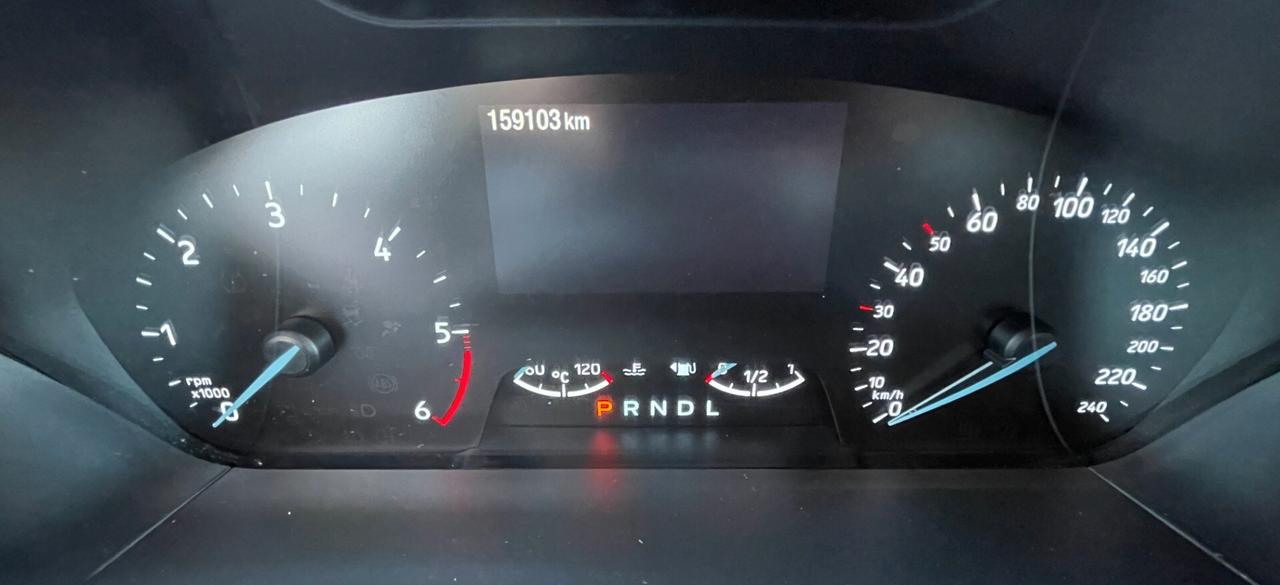 Ford Focus 1.5 EcoBlue 120 CV automatico SW Business Co-Pilot