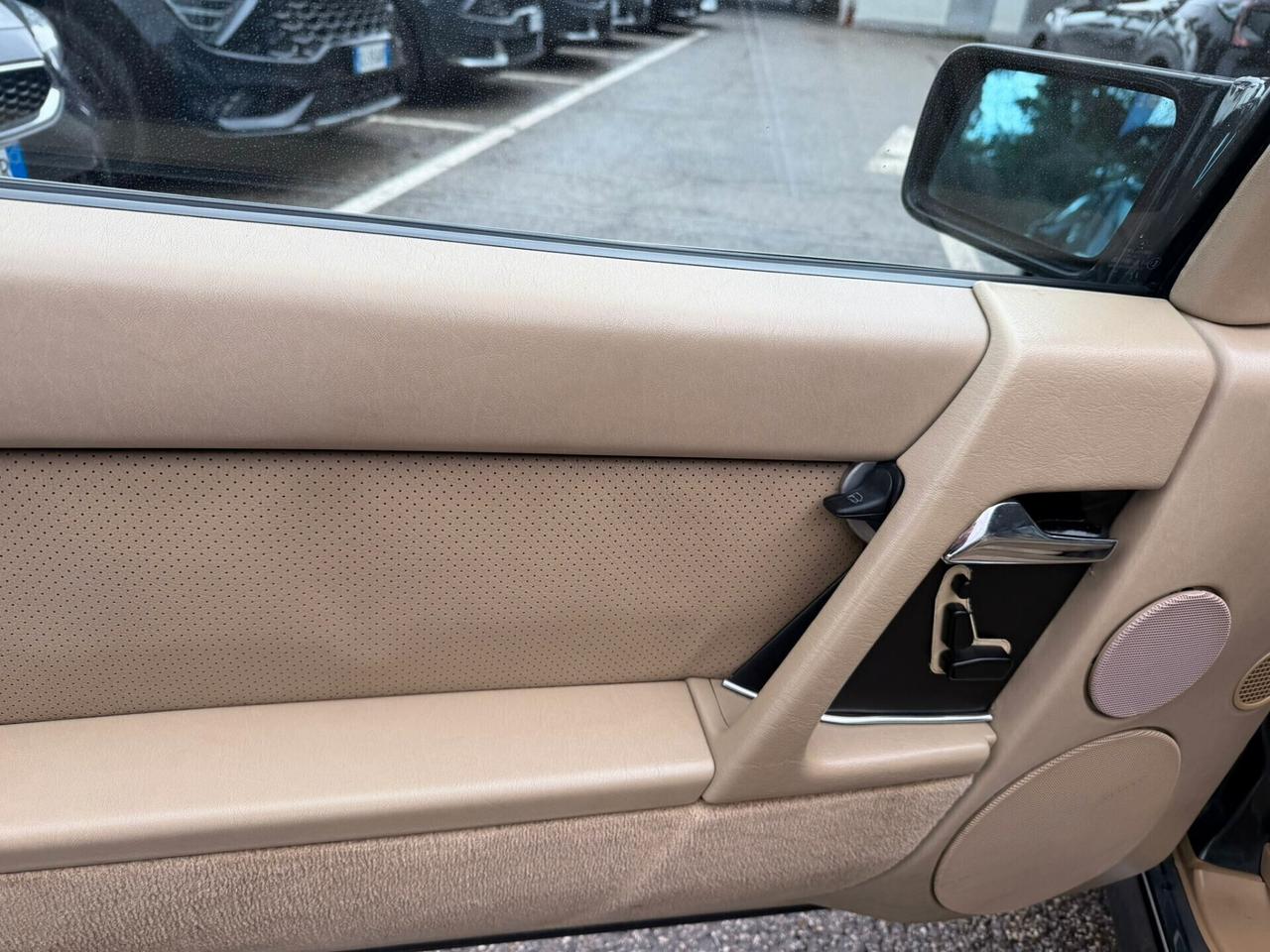 Mercedes-benz SL 300 SL-24 cat