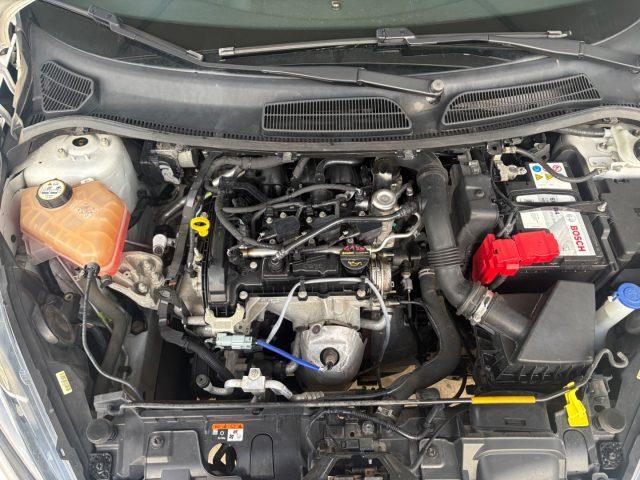 FORD Fiesta 1.0 80CV ST LINE Black & White Edition BELLISSIMA