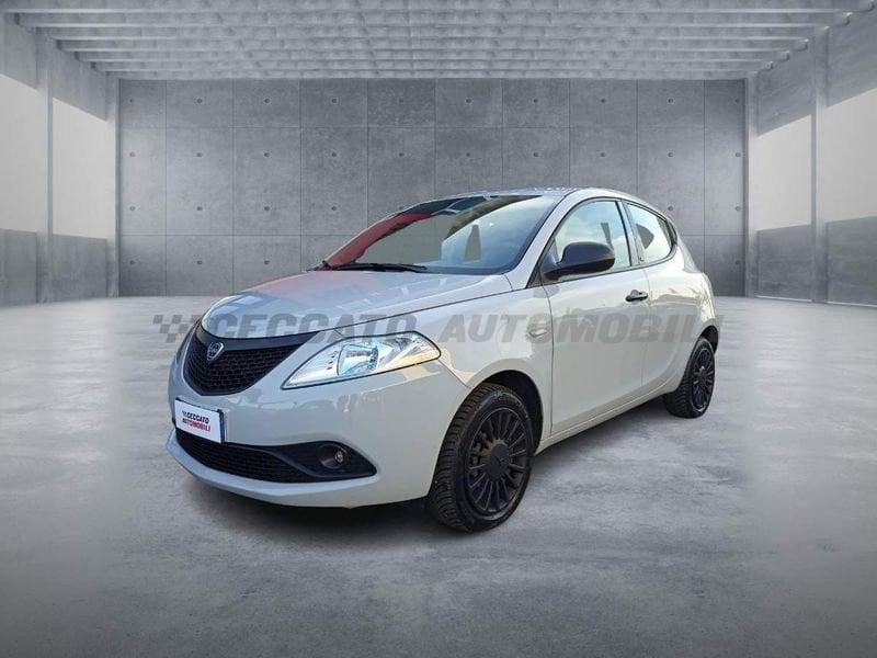 Lancia Ypsilon Ypsilon 1.2 Gold ecochic Gpl 69cv my19