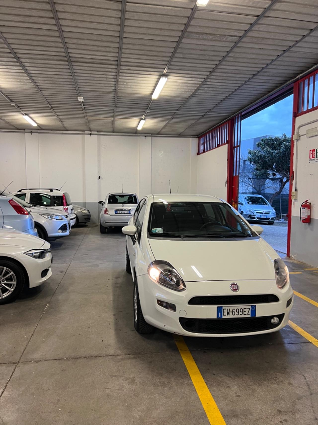 Fiat Punto 1.4 8V 3 porte Natural Power Lounge