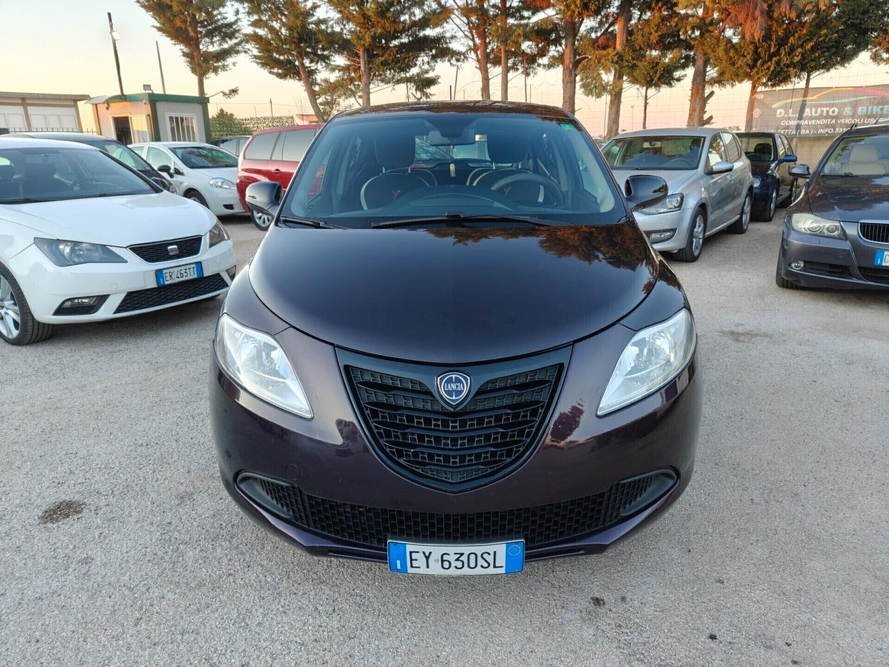 Lancia Ypsilon 1.3MTJ Gold tagliandi Fiat