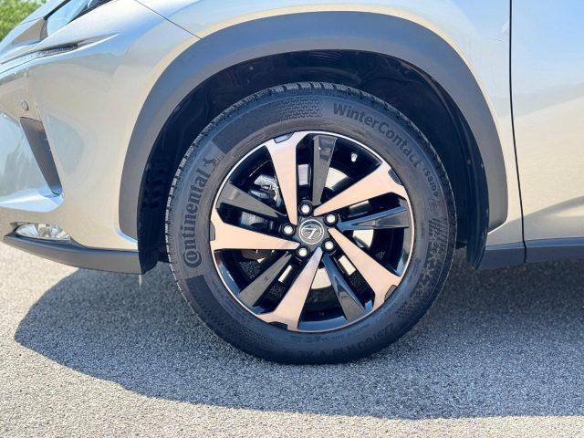 LEXUS NX 300h HYBRID 4WD EXECUTIVE *TETTO*PELLE*