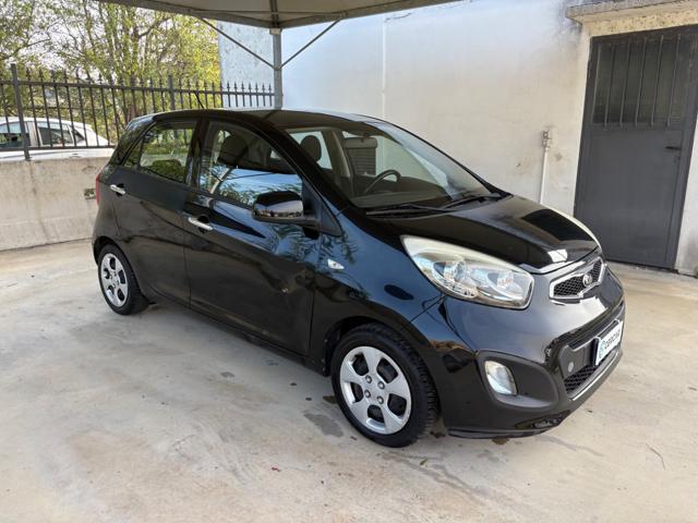 KIA Picanto 1.0 12V 5 porte Glam OK NEOPATENTATI EURO 5