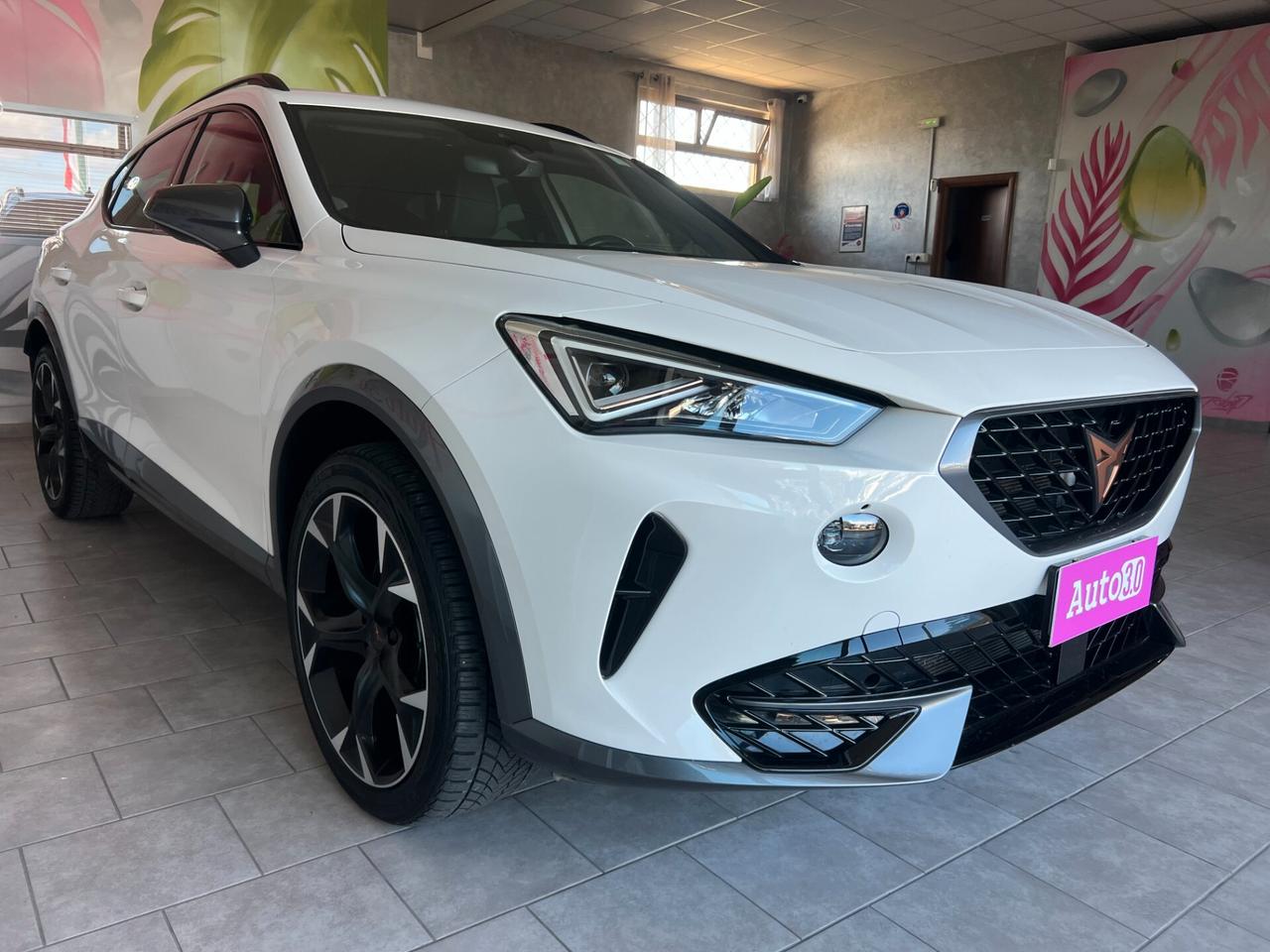 Cupra Formentor 2.0 TDI IVA ESPOSTA
