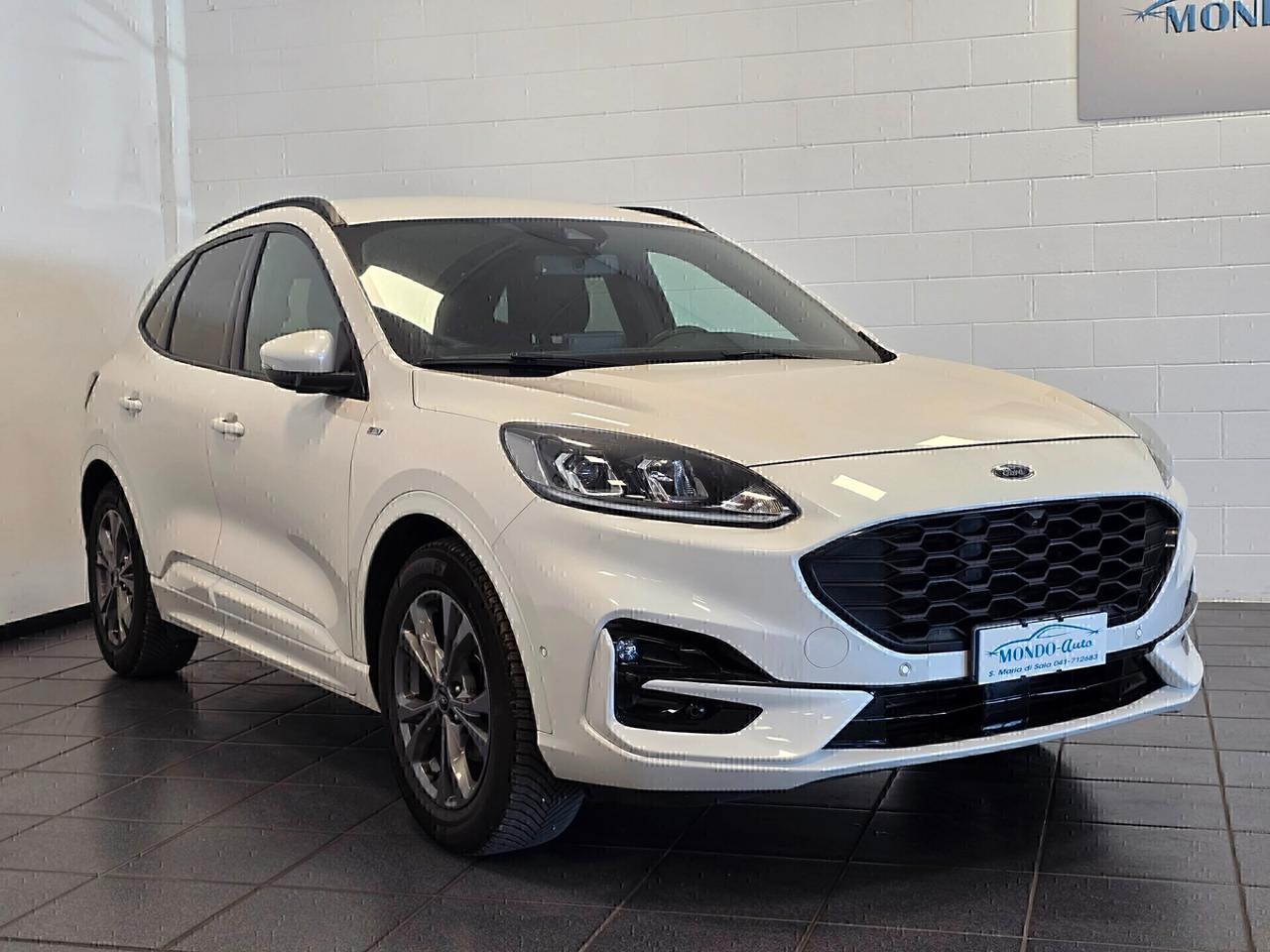 Ford Kuga 1.5 EcoBlue 120 CV aut. 2WD ST-Line X 2020