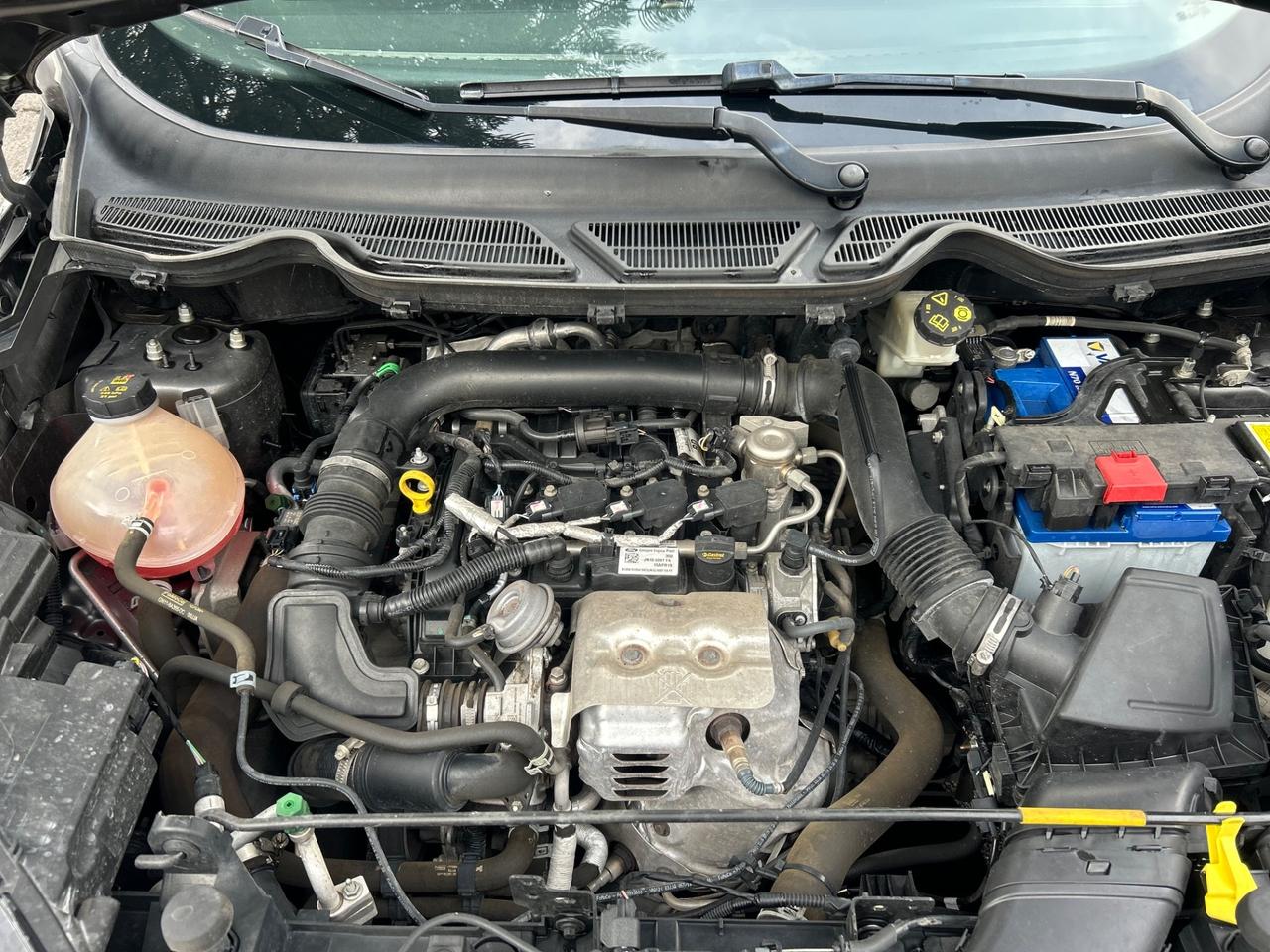 Ford EcoSport 1.0 100 CV ST-Line