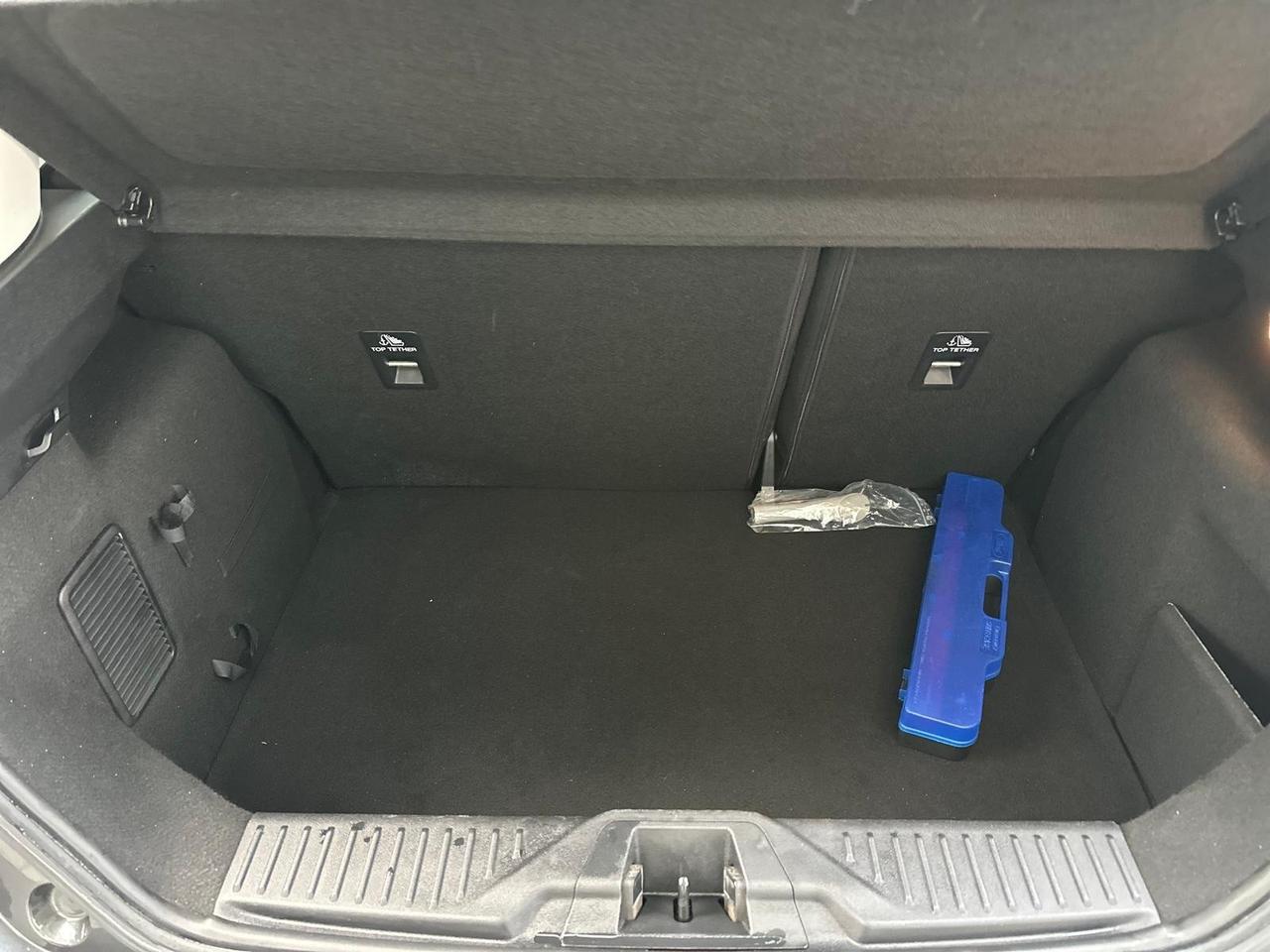 Ford Fiesta 1.5 EcoBlue 5 porte Vignale