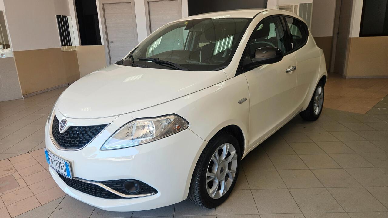Lancia Ypsilon 1.3 MJT 16V 95 CV 5 porte S&S Platinum