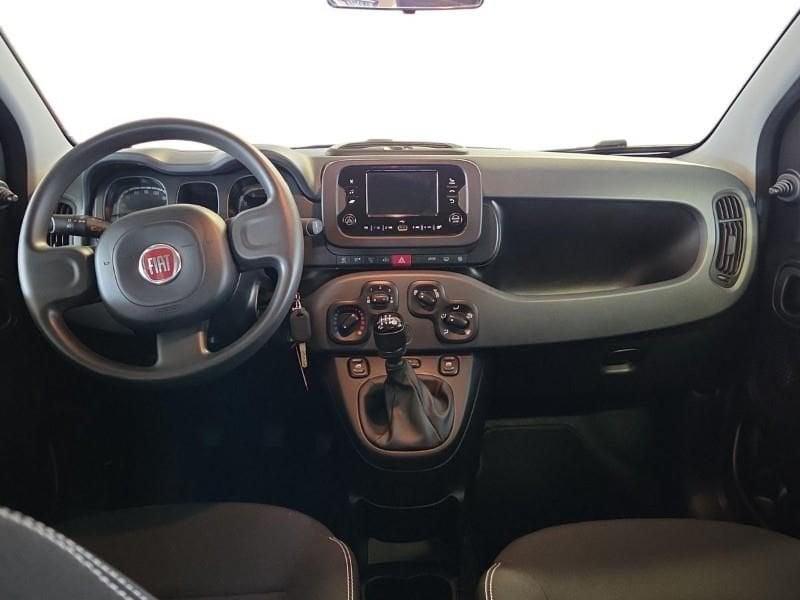 FIAT Panda 3ª serie 1.0 FireFly S&S Hybrid