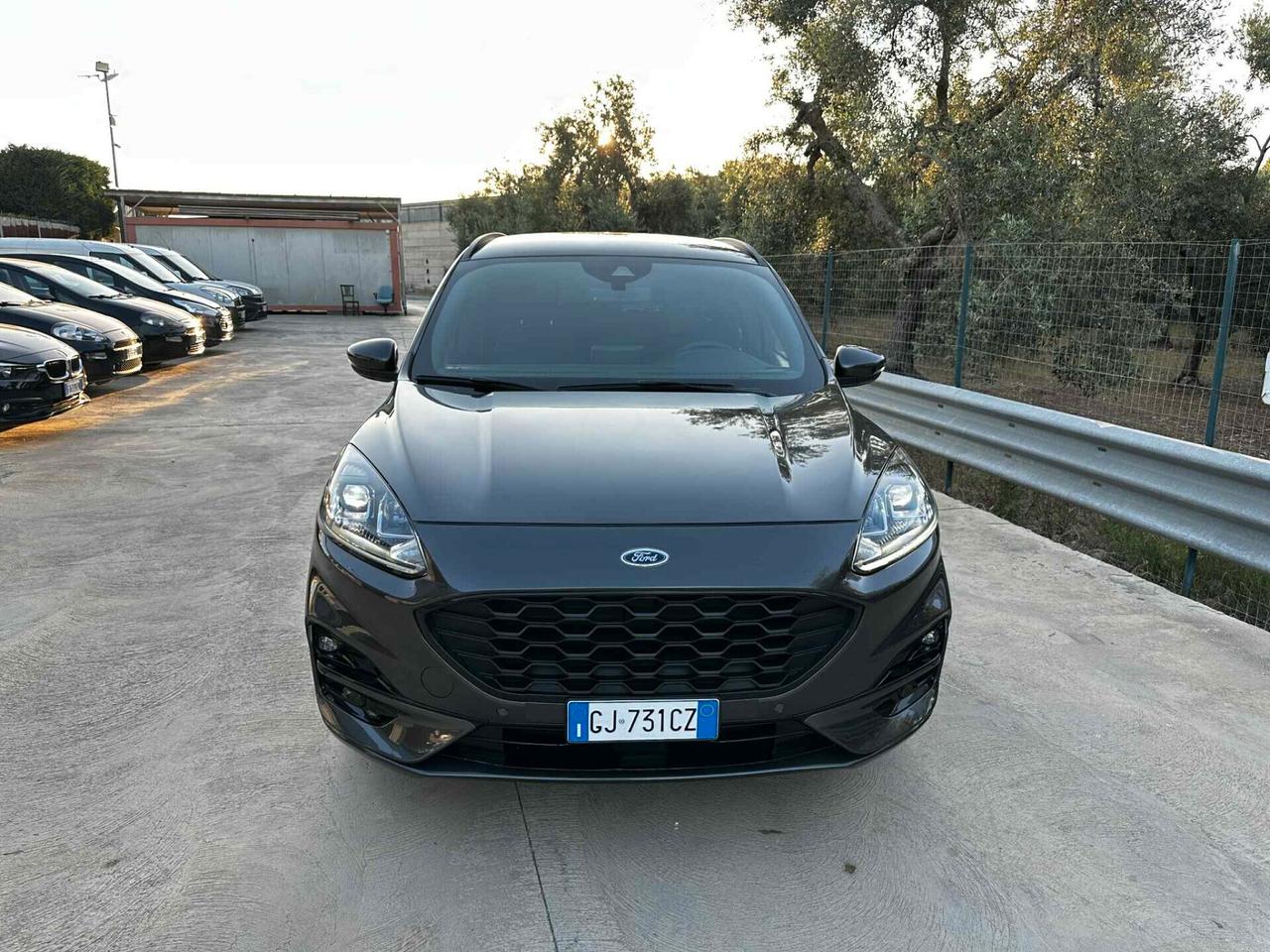 Ford Kuga 2.0 EcoBlue Hybrid 150 CV 2WD ST-Line