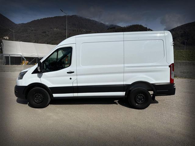 FORD Transit 330 2.0TDCi EcoBlue 170CV PM-TM Furgone Trend