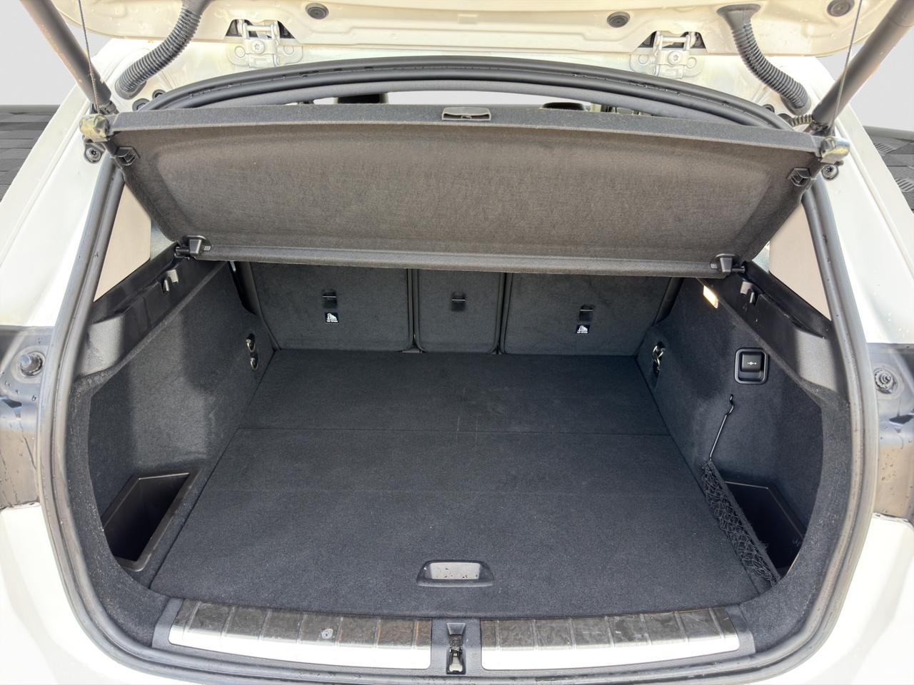 BMW X1 (F48) X1 sDrive20i Sport