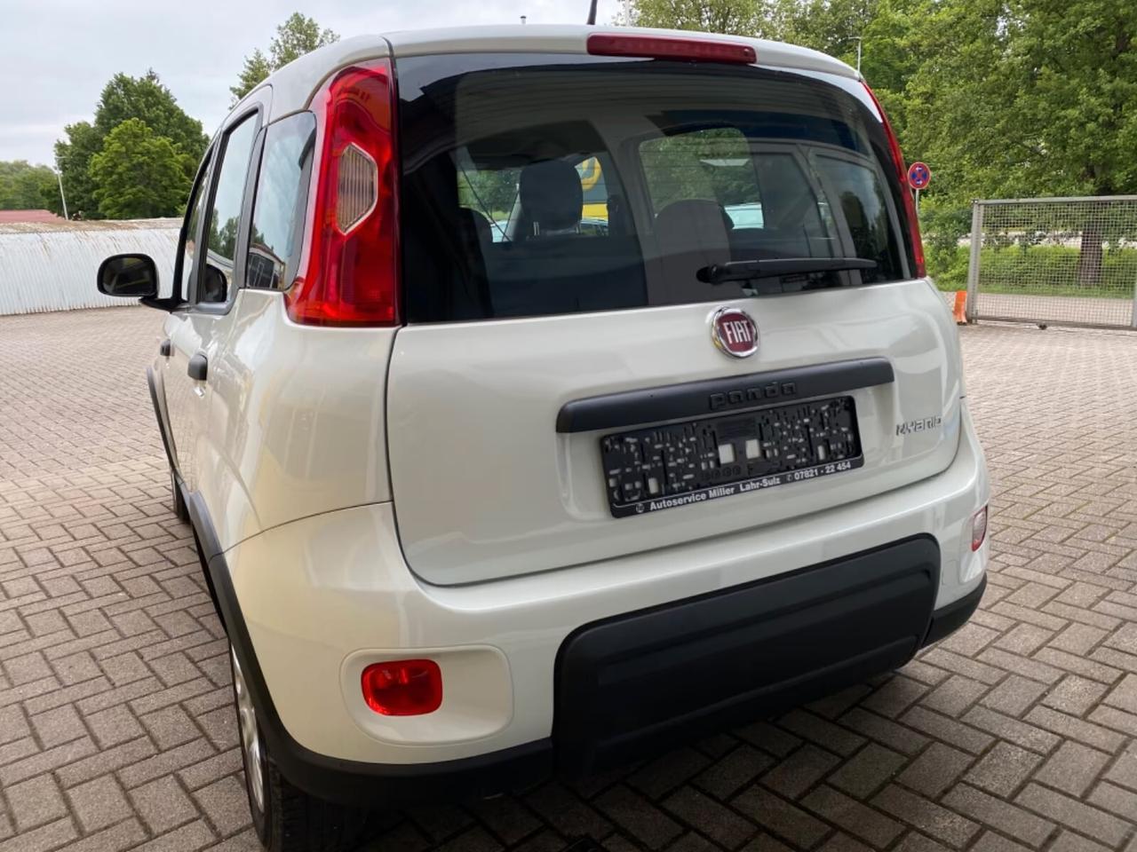 Fiat Panda 1.0 FireFly S&S Hybrid