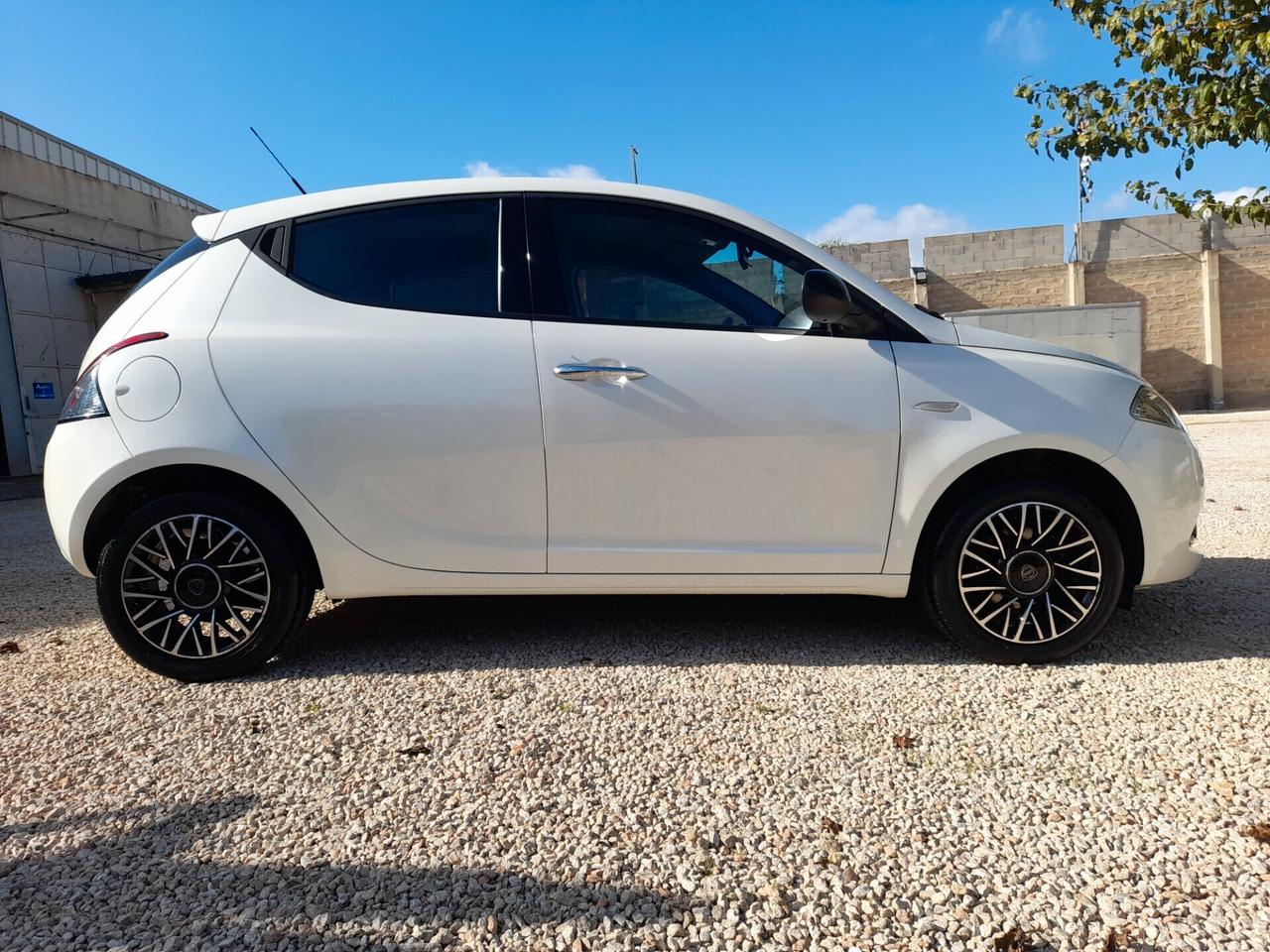 Lancia Ypsilon 1.2 69 CV Gold 2019 neopatentati ok