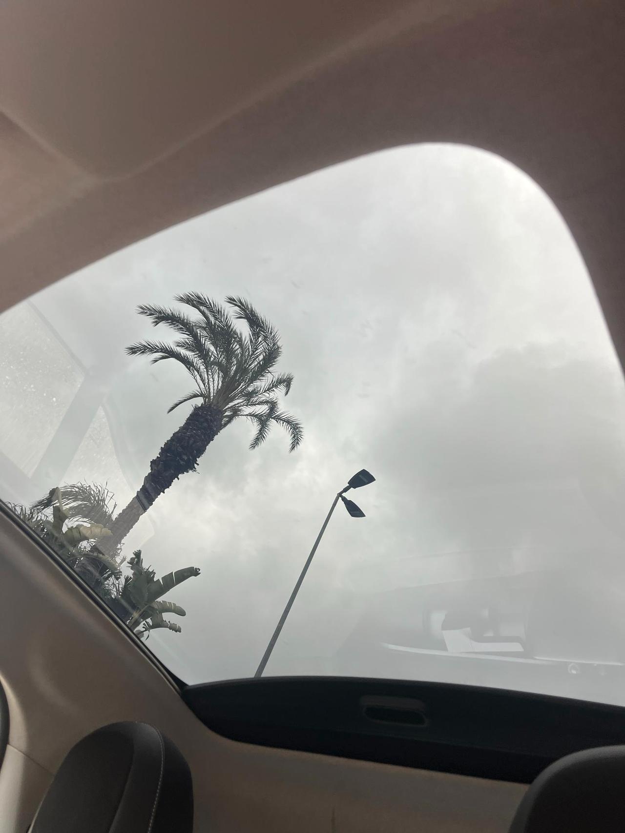 Smart fortwo coupe Fortwo 0.9 t Brabus 109cv twinamic my18