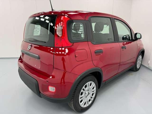 Fiat Panda *PANDINA* 1.0 HYBRID 69CV*CRUISE+SENSORI*ONLYPROMO