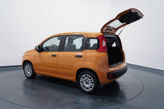 FIAT New Panda 1.2 69cv GPL EasyPower Easy