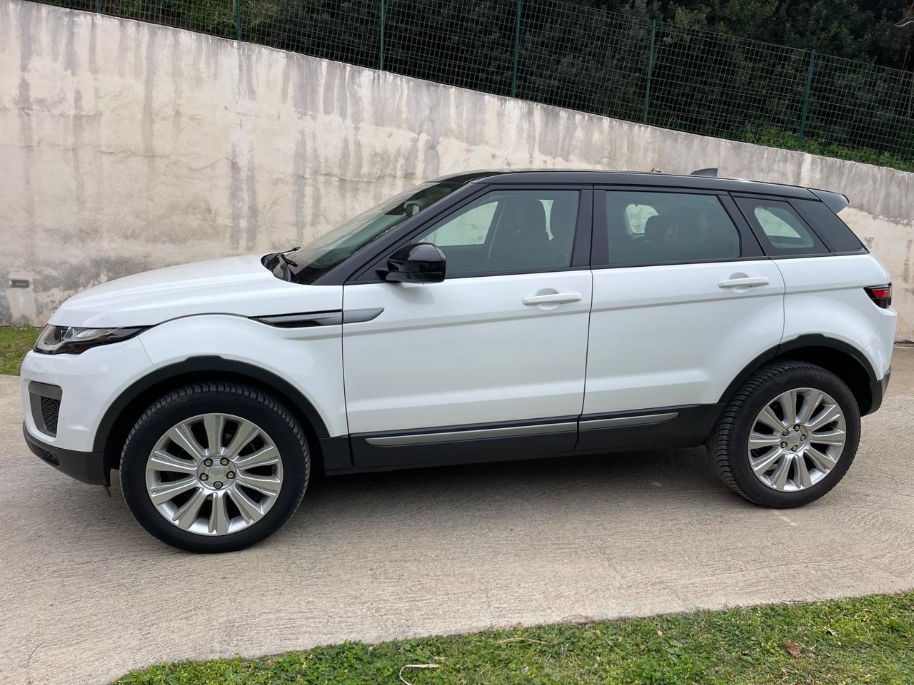 Land Rover Range Evoque 2.0 TD4 150 CV 5p. SE Dynamic