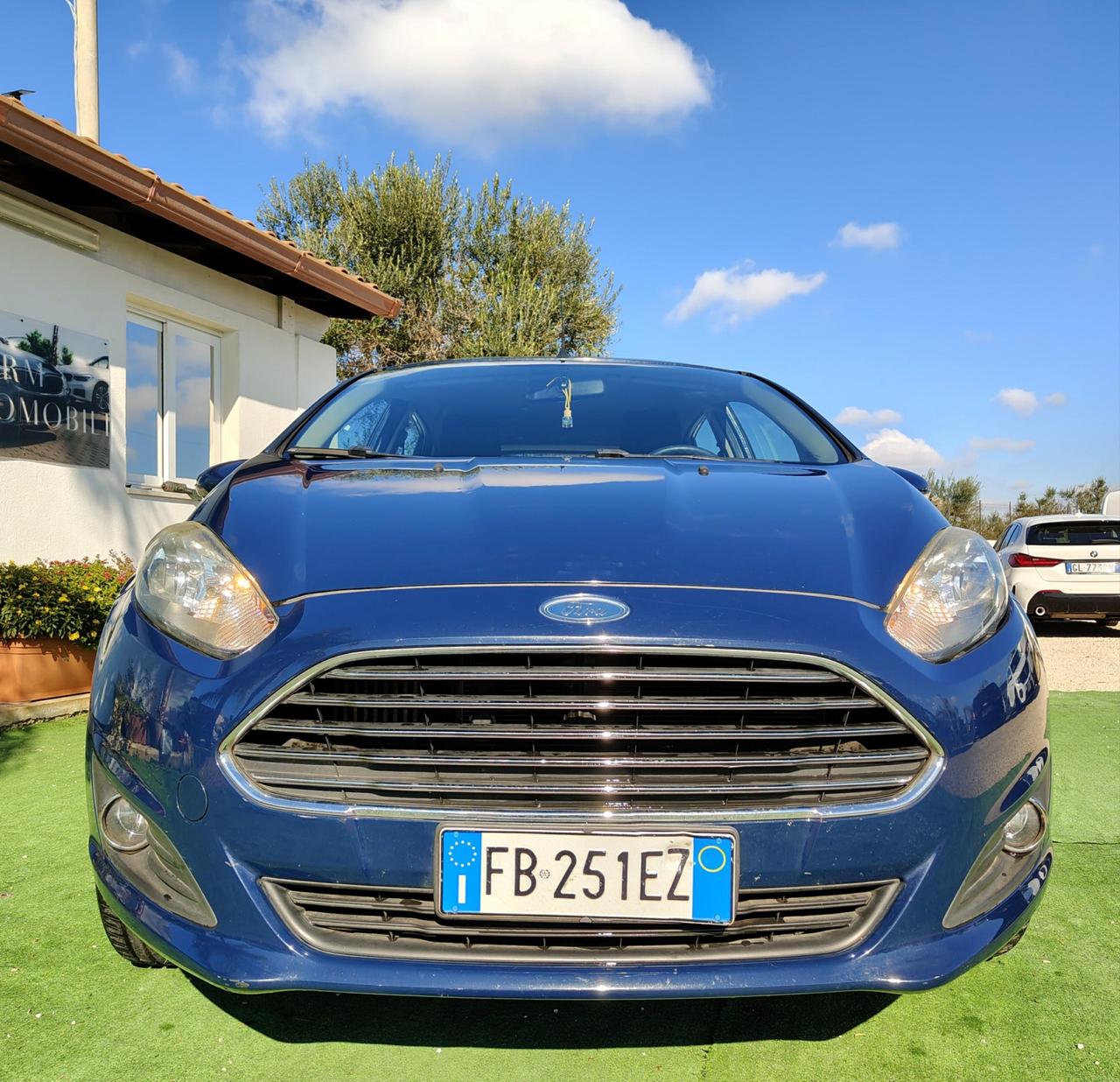 Ford Fiesta 1.5 TDCi 75CV 5 porte Black & White Edition - 2015