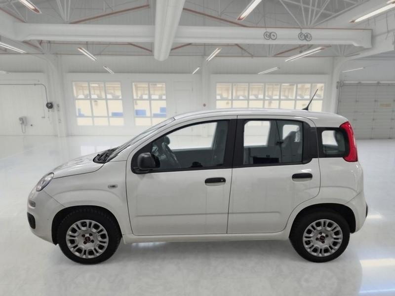 FIAT PANDA 1.2 69 CV SES E6D-TEMP EASY 5 PORTE BERLINA