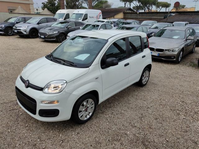 FIAT Panda 1.2 69cv CLIMATIZZATORE OK NEOPATENTATI