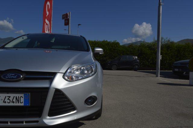 FORD Focus 1.6 TDCi 95 CV Business