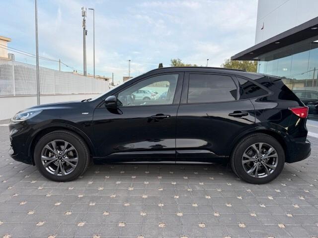 Ford Kuga 1.5 EcoBlue 120 CV 2WD ST-Line X 2020