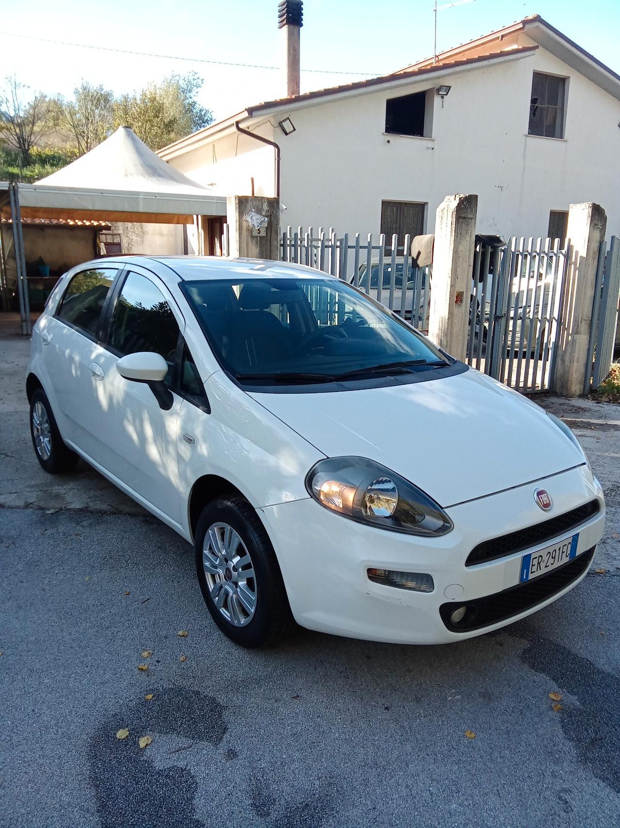 Fiat Punto 1.4 8V 5 porte Natural Power Street 013