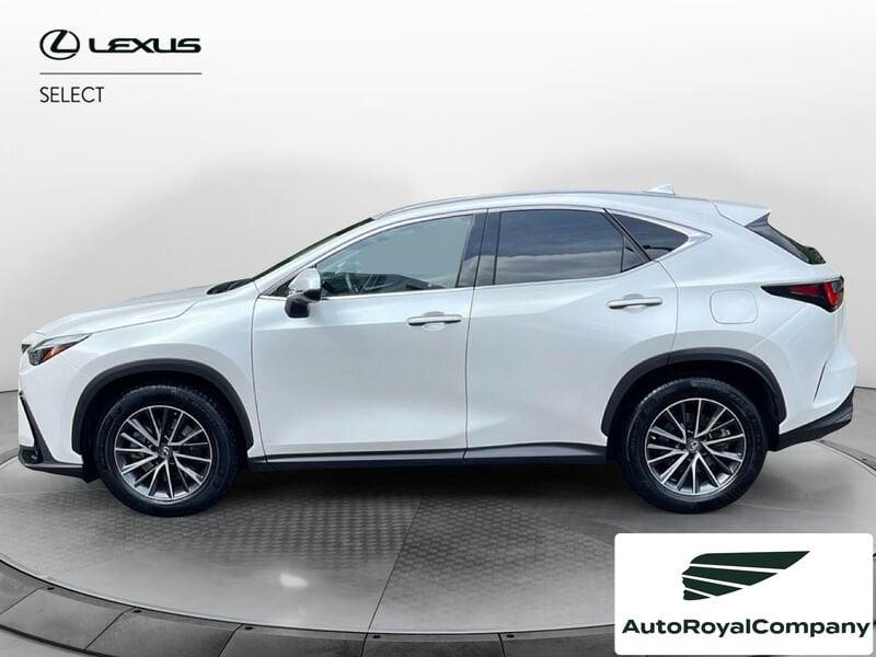 Lexus NX Plug-in Premium 4WD MY22
