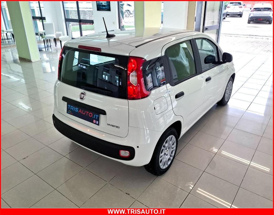 FIAT Panda 1.0 FireFly S&S Hybrid NEOPATENTATI