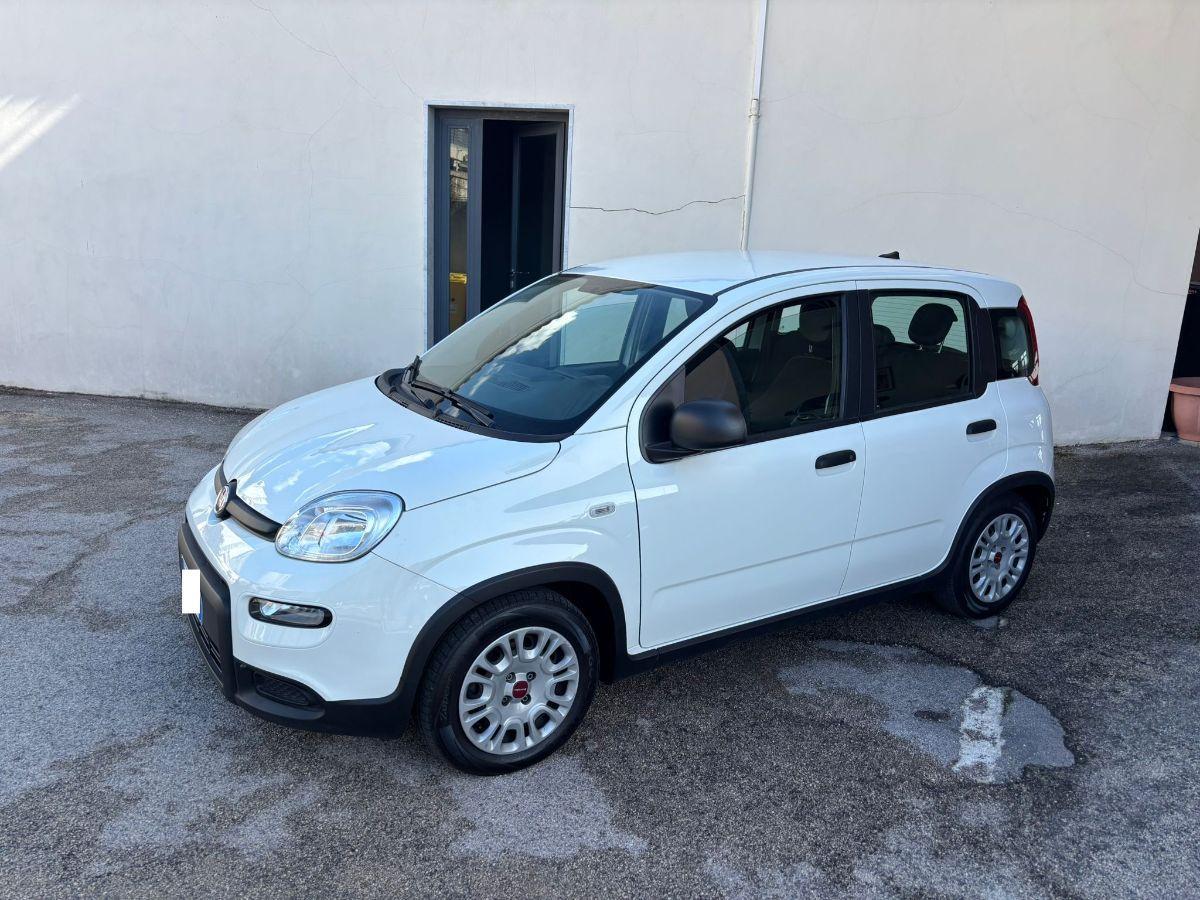 FIAT Panda 1.0 FireFly S&S Hybrid City Life 5 Posti