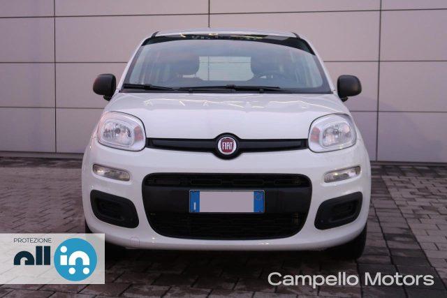 FIAT Panda Panda 1.2 69cv S&S Easy