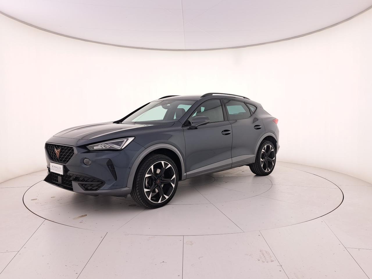 Cupra Formentor 2.0 tdi 4drive 150cv dsg