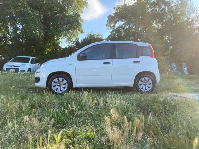 Fiat New Panda 1.2 Fire * Cinghia Distribuzione appena fatta * 69cv E6
